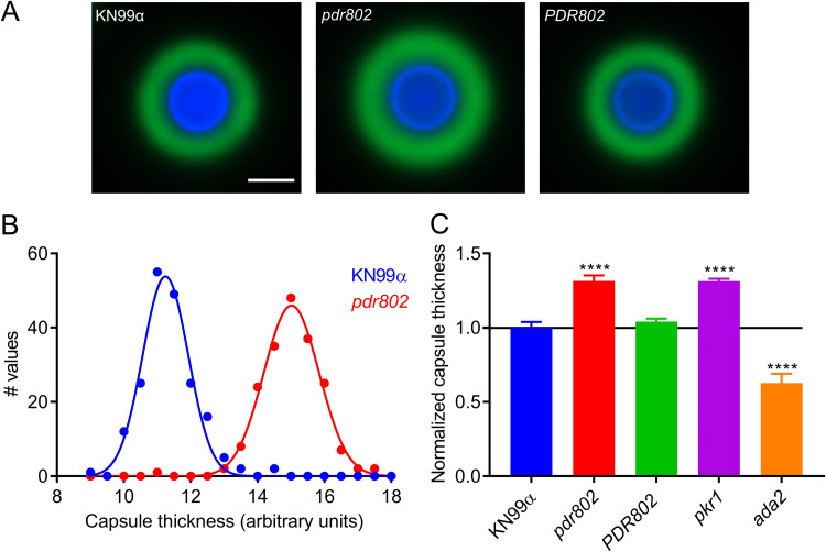 FIG 3