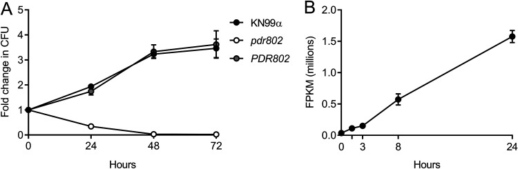 FIG 2