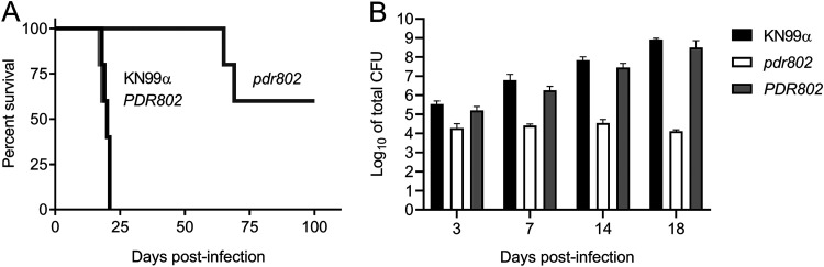 FIG 1