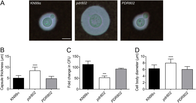 FIG 4