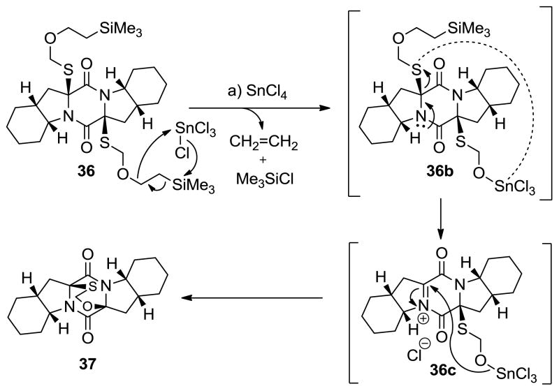 Scheme 4