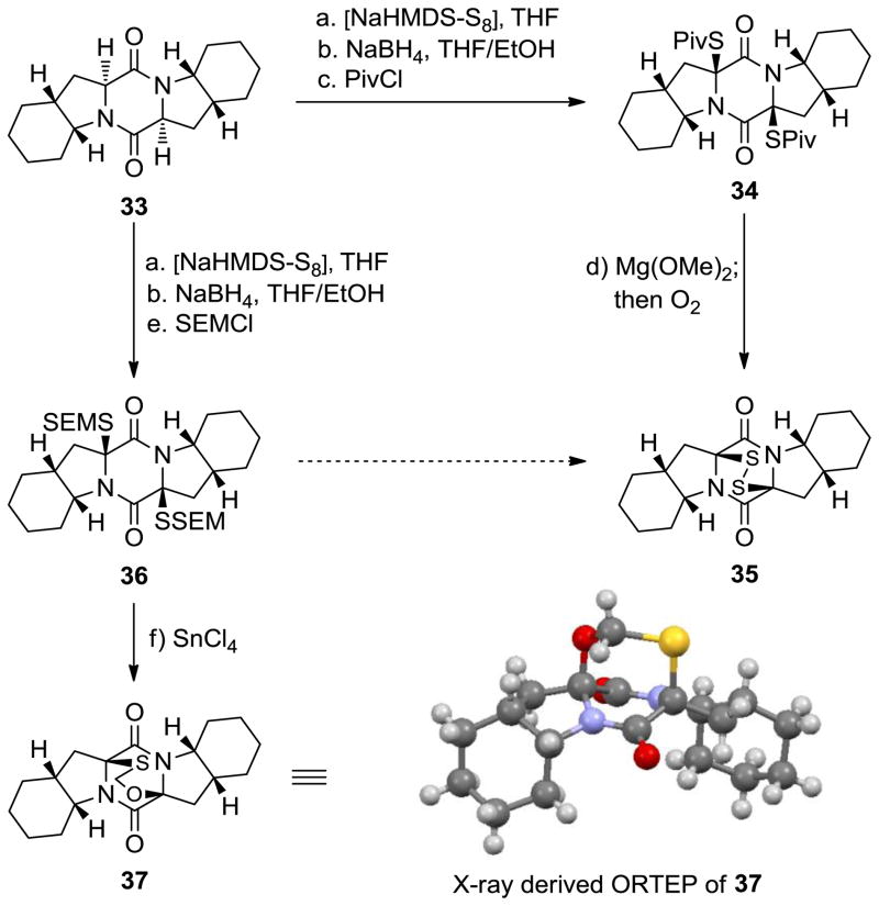 Scheme 3