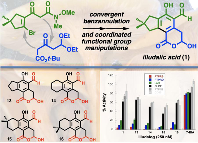 graphic file with name nihms-1777567-f0001.jpg