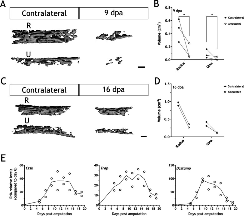 Figure 5—figure supplement 1.