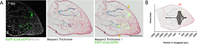 Figure 5—figure supplement 2.