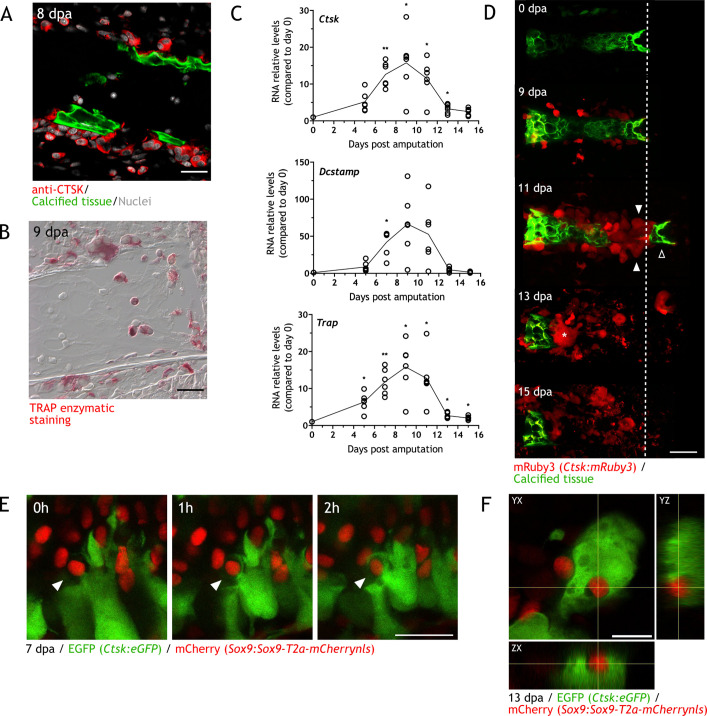 Figure 2.