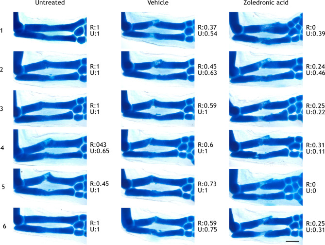 Figure 4—figure supplement 1.