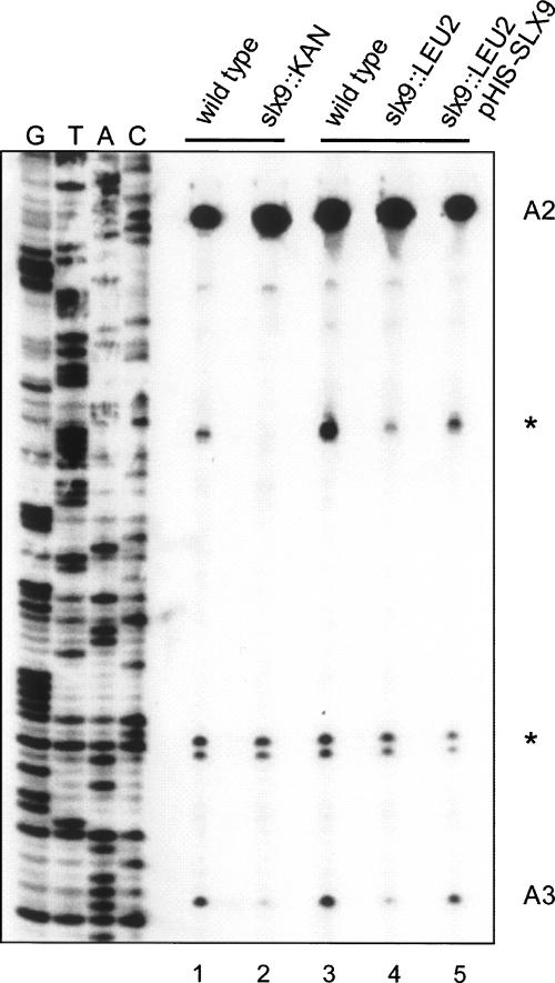 FIGURE 5.