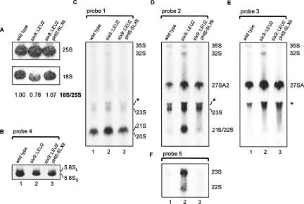 FIGURE 4.