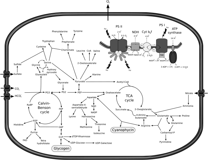 Figure 1.
