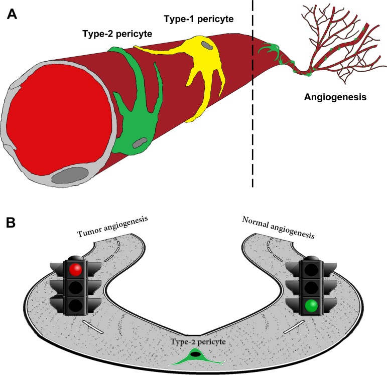 Fig. 7.