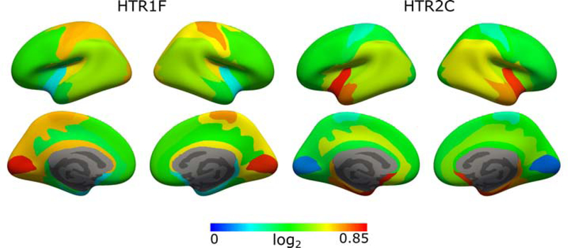 Figure 6: