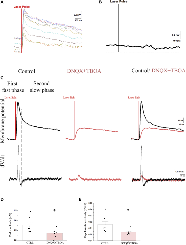 Figure 4