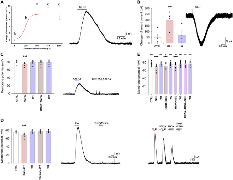 Figure 3