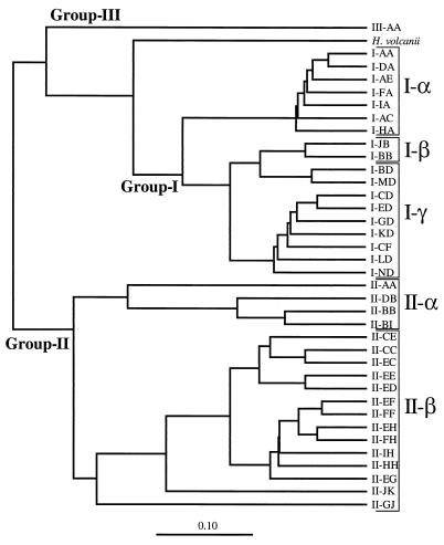 FIG. 5