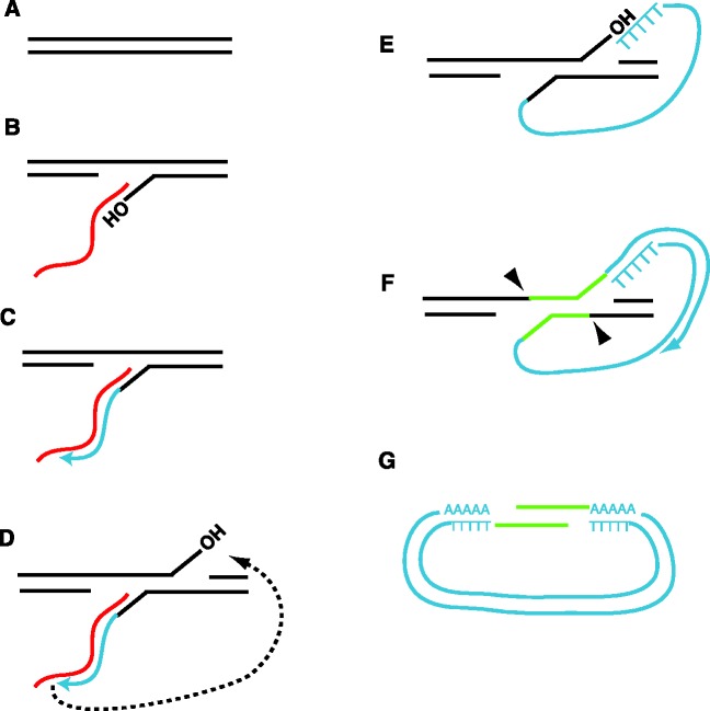 Figure 7.