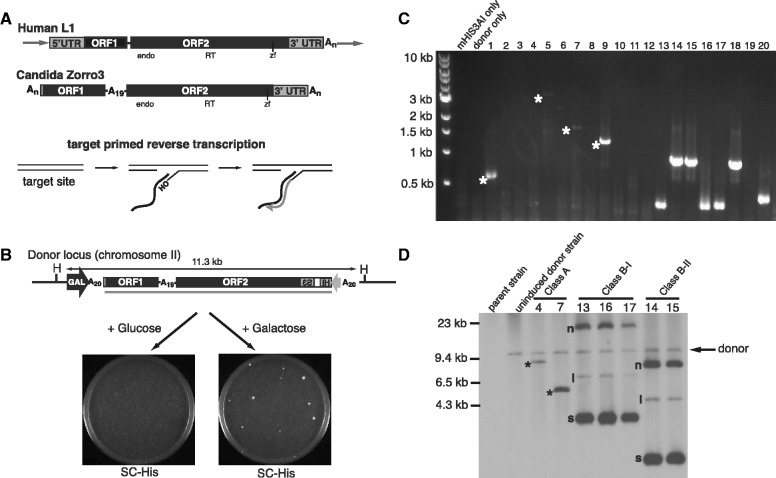 Figure 1.