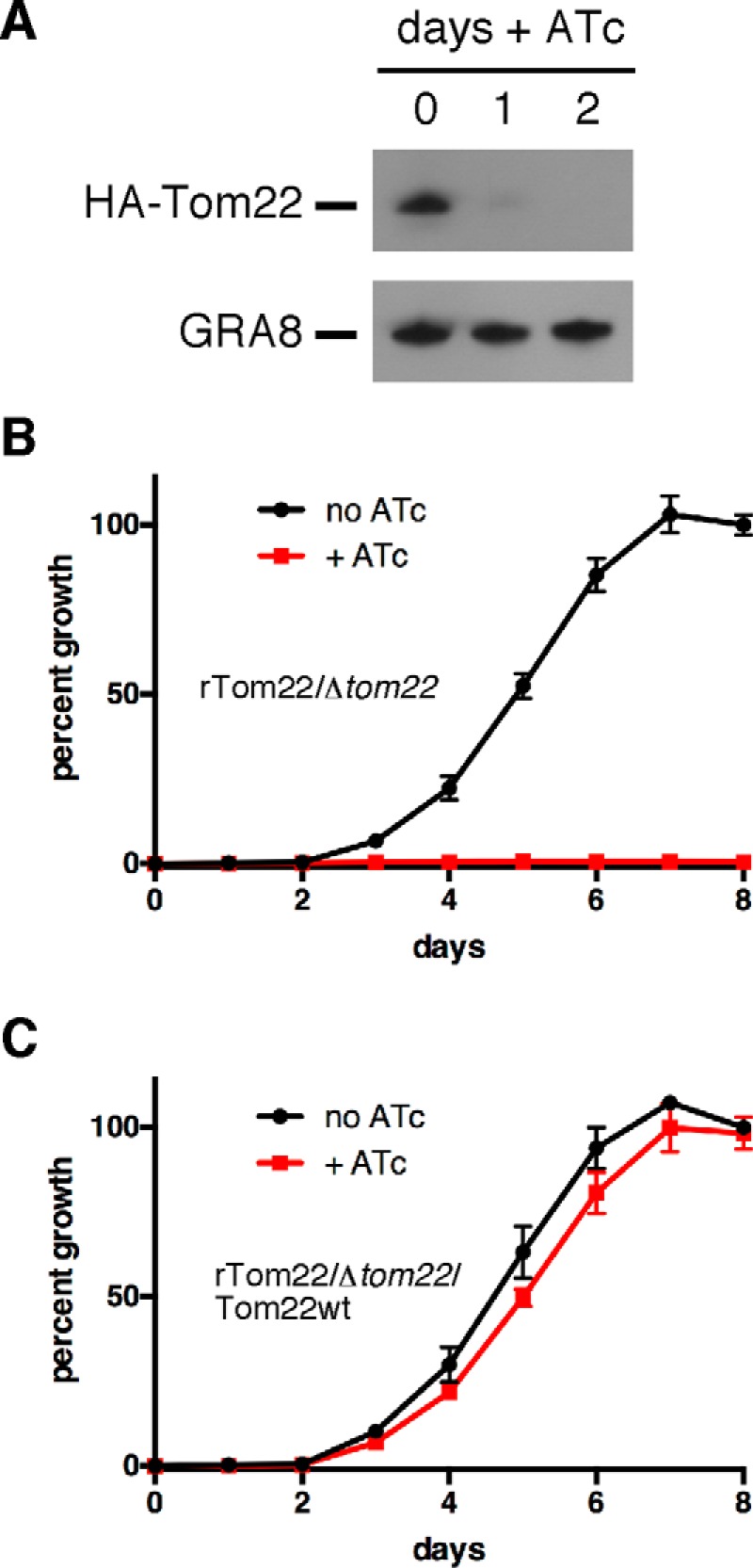 FIGURE 5.