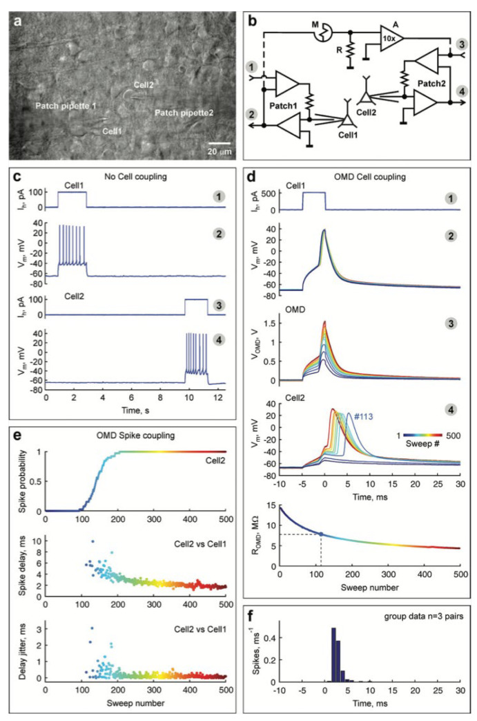 Figure 26