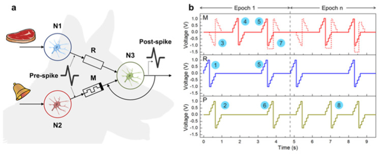 Figure 25