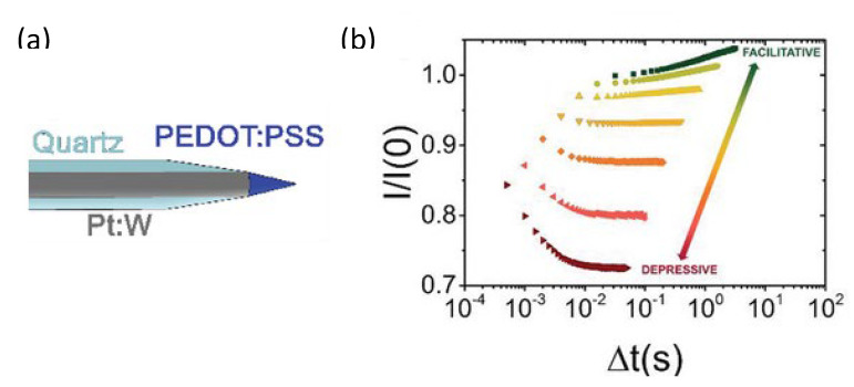 Figure 19