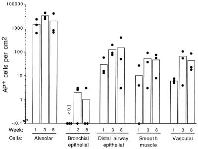 FIG. 6