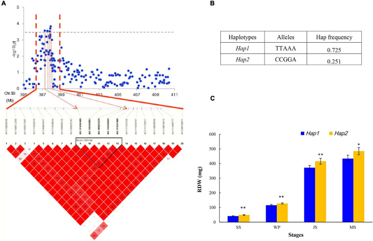 FIGURE 4