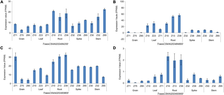 FIGURE 3