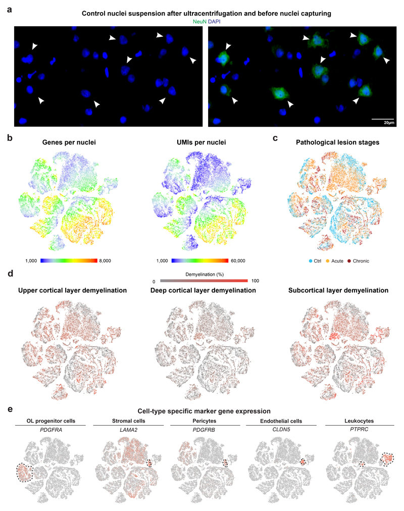 Extended Data Fig. 1