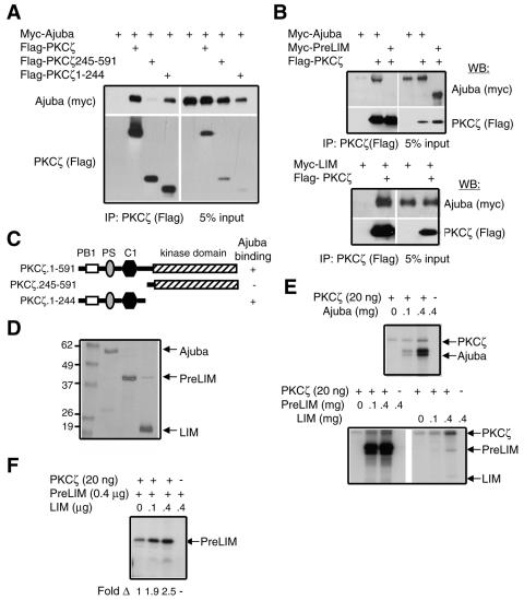 FIG. 7.