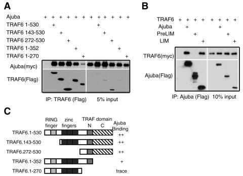 FIG. 6.