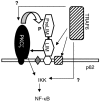 FIG. 8.