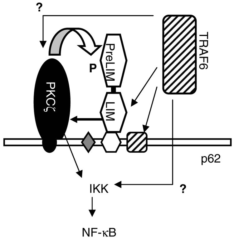 FIG. 8.