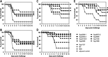 FIG. 2.