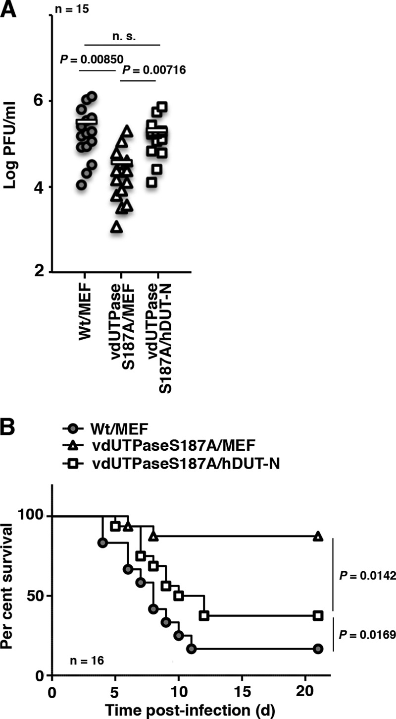 FIG 3