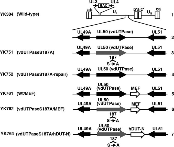 FIG 1