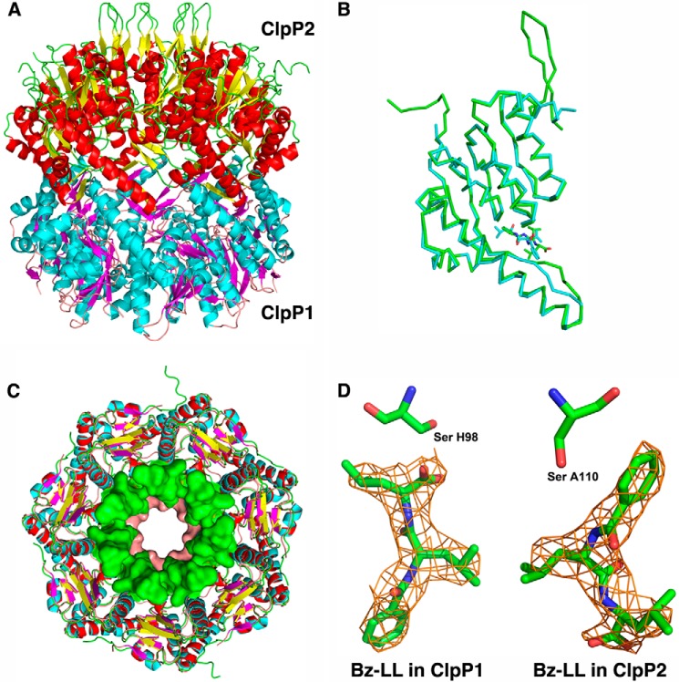 FIGURE 6.