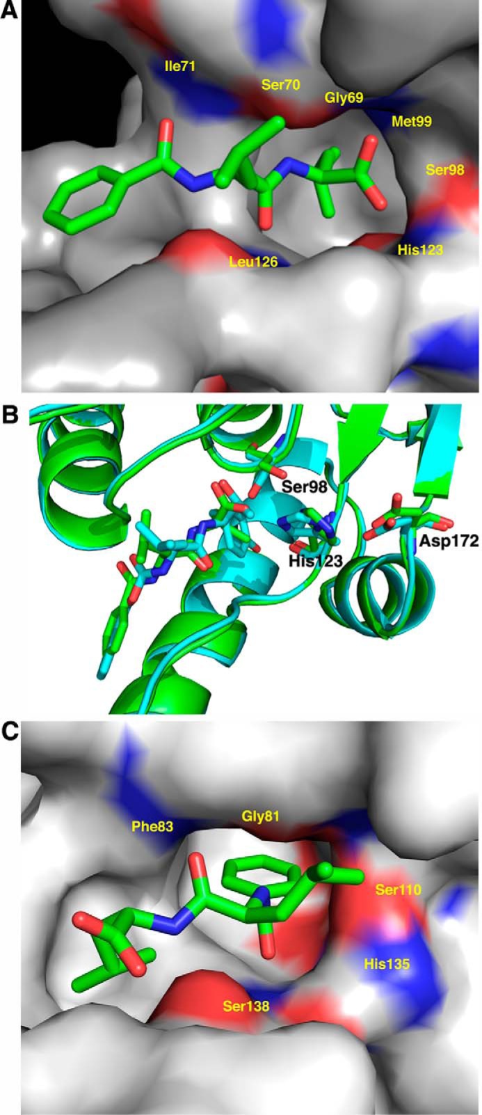 FIGURE 7.