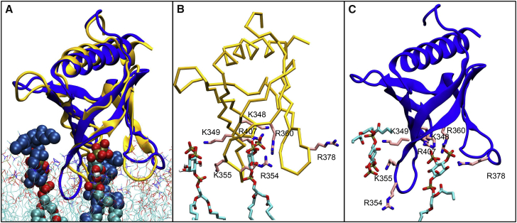 Figure 5