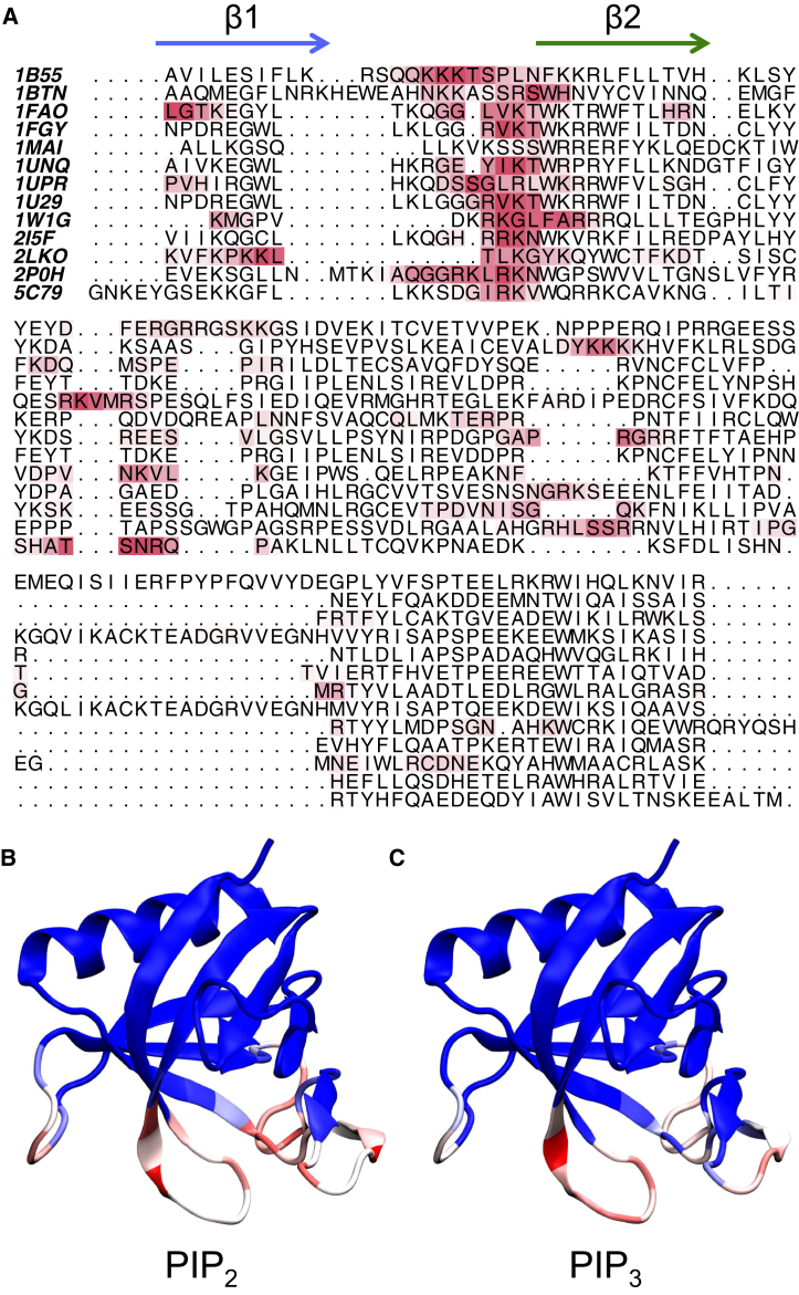 Figure 6