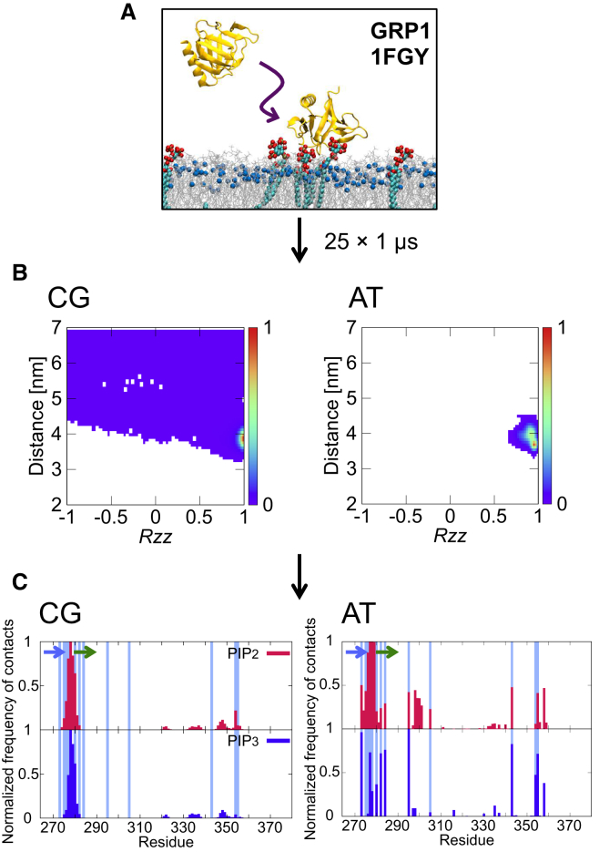 Figure 1