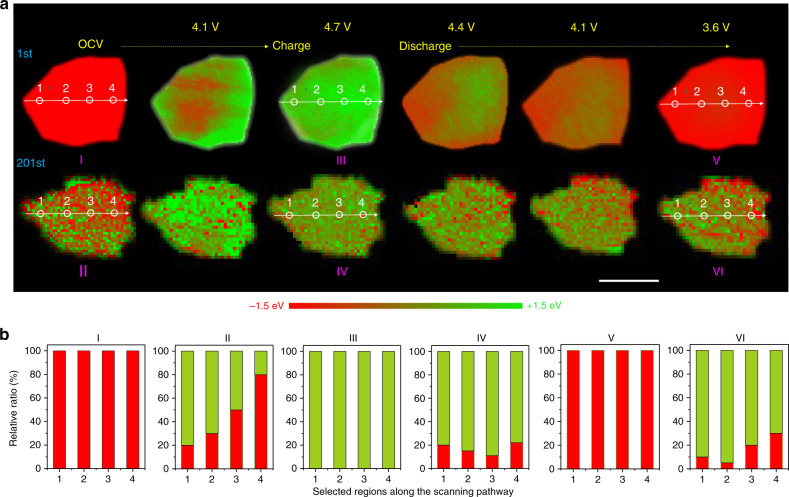 Fig. 4