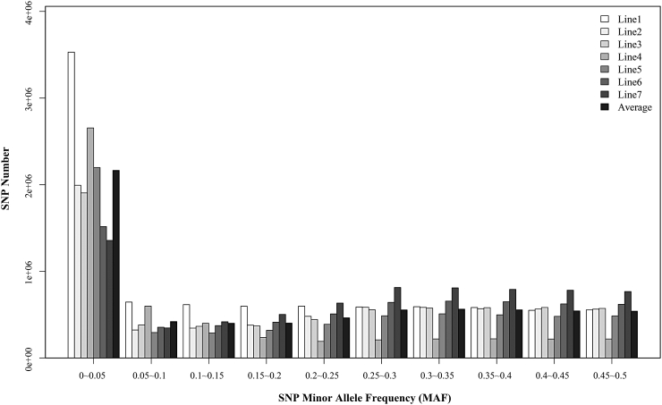 Figure 1