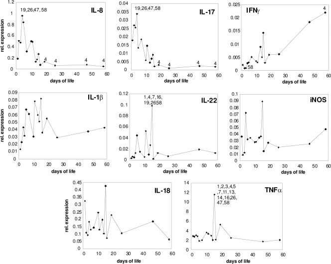 Fig. 2.