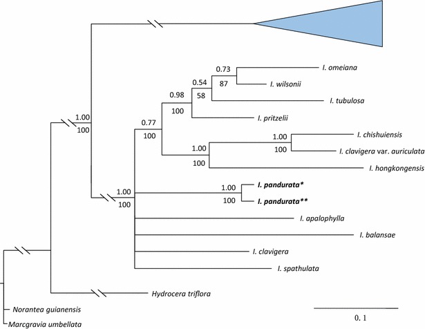 Fig. 3