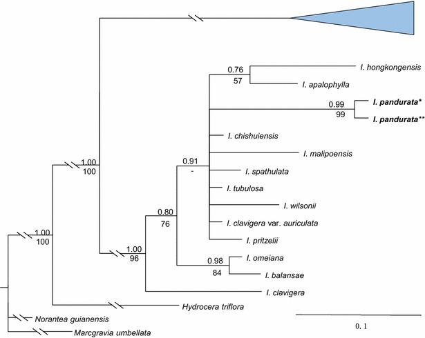 Fig. 4