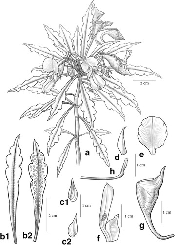 Fig. 1