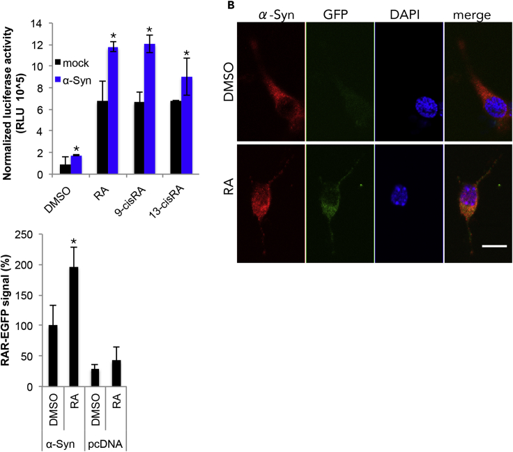 Figure 4