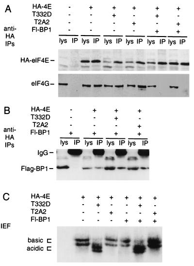 FIG. 6