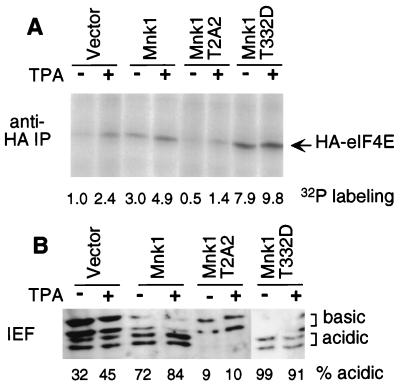 FIG. 5